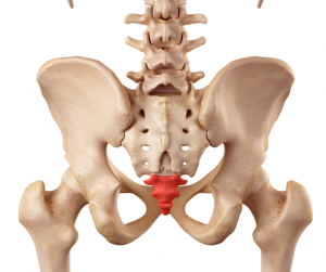 Tailbone (Coccyx) Fracture  Saint Luke's Health System